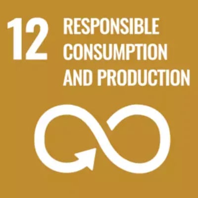 sdgs #12 responsible consumption and production