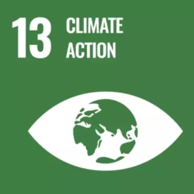 sdgs #13 climate action